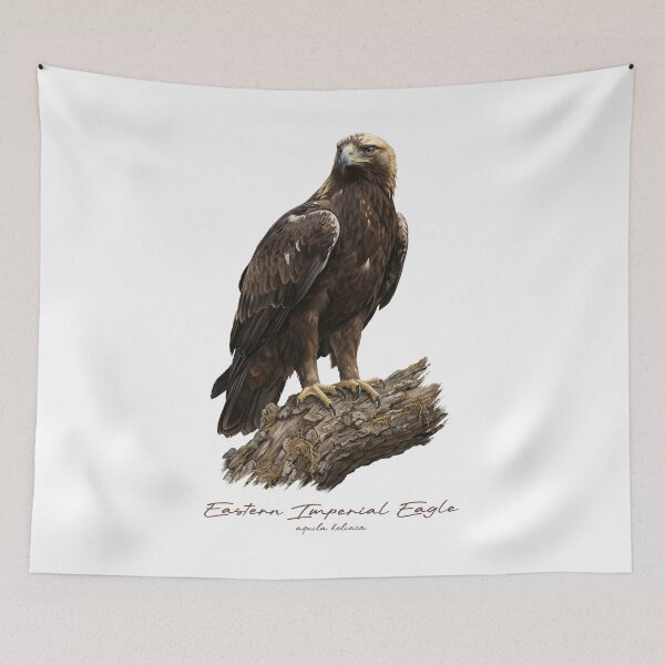 Item preview, Eastern Imperial Eagle on Branch designed and sold by Takeda-art.