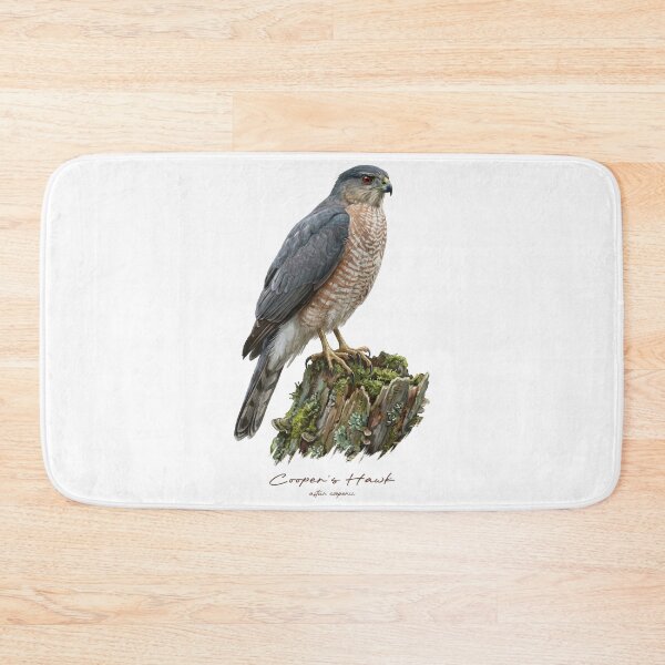 Item preview, Cooper's Hawk on Mossy Stump designed and sold by Takeda-art.