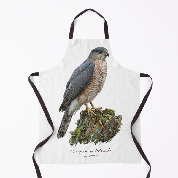 Item preview, Cooper's Hawk on Mossy Stump designed and sold by Takeda-art.