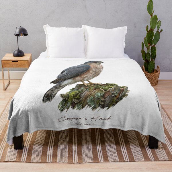 Item preview, Cooper's Hawk on Mossy Stump designed and sold by Takeda-art.