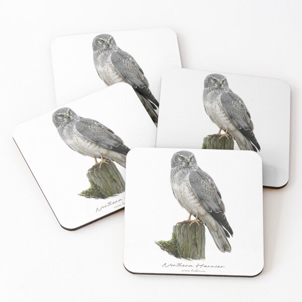 Item preview, Northern Harrier on Mossy Wooden Fence designed and sold by Takeda-art.