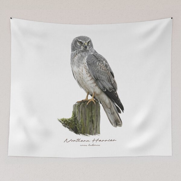 Item preview, Northern Harrier on Mossy Wooden Fence designed and sold by Takeda-art.