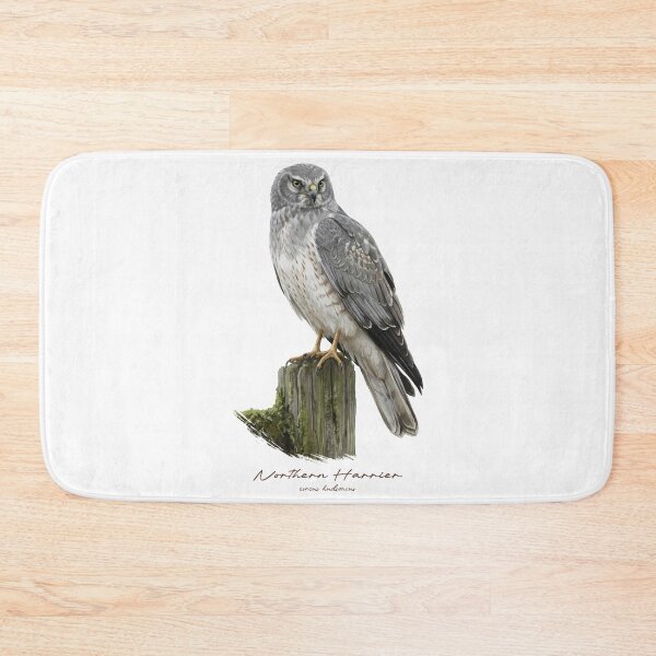Item preview, Northern Harrier on Mossy Wooden Fence designed and sold by Takeda-art.