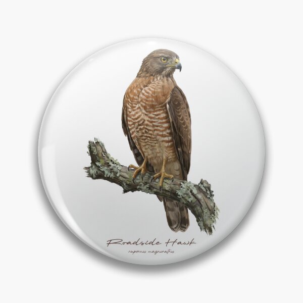 Item preview, Roadside Hawk on Rustic Branch designed and sold by Takeda-art.