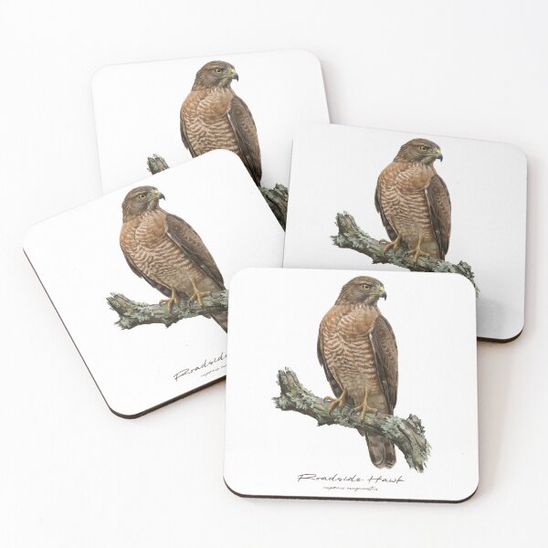 Item preview, Roadside Hawk on Rustic Branch designed and sold by Takeda-art.