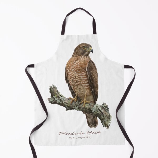 Item preview, Roadside Hawk on Rustic Branch designed and sold by Takeda-art.