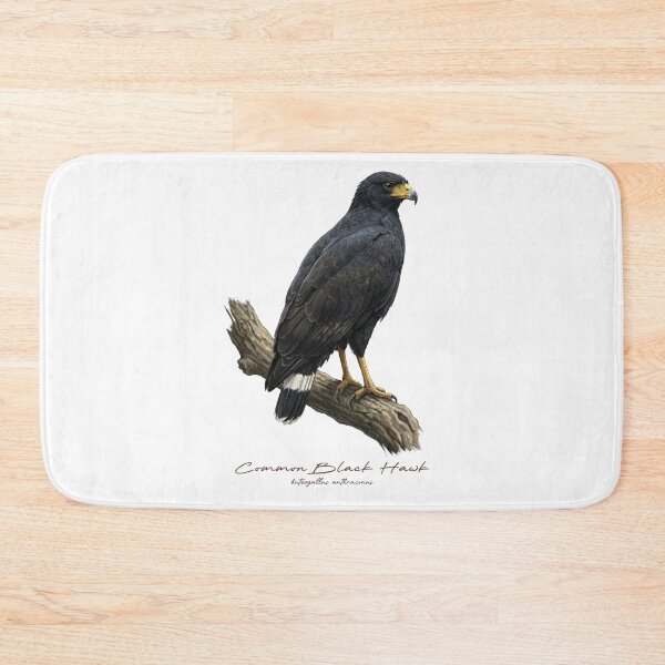 Item preview, Common Black Hawk on Branch designed and sold by Takeda-art.