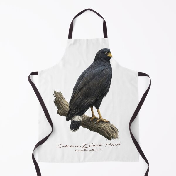 Item preview, Common Black Hawk on Branch designed and sold by Takeda-art.