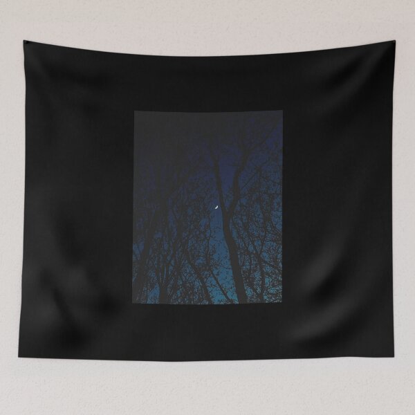 Item preview, branches framing a crescent moon (scotland) (april 2026) designed and sold by photosbykel.
