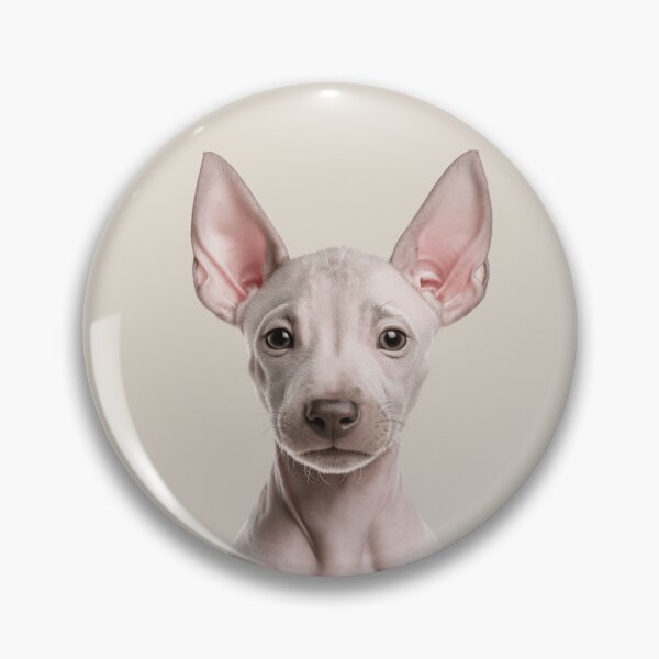 Item preview, Adorable American Hairless Terrier Puppy for Cute AHT puppy lovers designed and sold by LazyOwlStore.