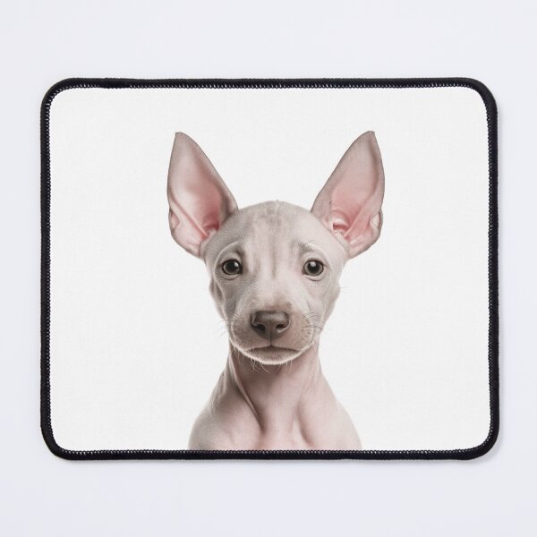 Item preview, Adorable American Hairless Terrier Puppy for Cute AHT puppy lovers designed and sold by LazyOwlStore.