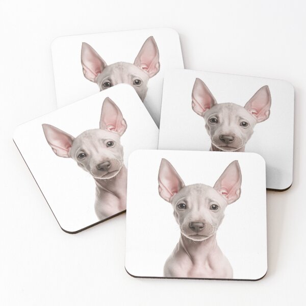 Item preview, Adorable American Hairless Terrier Puppy for Cute AHT puppy lovers designed and sold by LazyOwlStore.