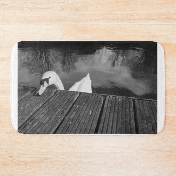 Item preview, cute swan portrait (forth & clyde canal, allandale, scotland) (april 2026) designed and sold by photosbykel.