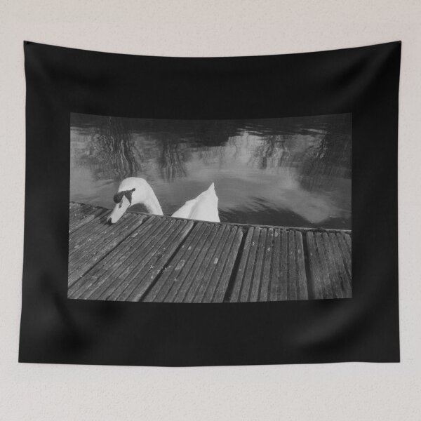 Item preview, cute swan portrait (forth & clyde canal, allandale, scotland) (april 2026) designed and sold by photosbykel.