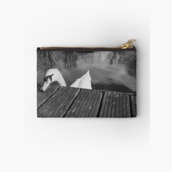Item preview, cute swan portrait (forth & clyde canal, allandale, scotland) (april 2026) designed and sold by photosbykel.