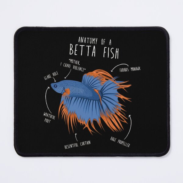 Item preview, Funny Anatomy Of A Betta Fish - Angry Siamese Fighting Fish Meme designed and sold by haitrieuic96.