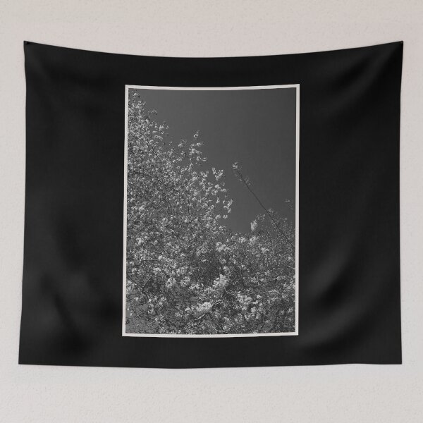 Item preview, dramatic black and white shot of springtime blossoms (glasgow, scotland) (april 2026) designed and sold by photosbykel.