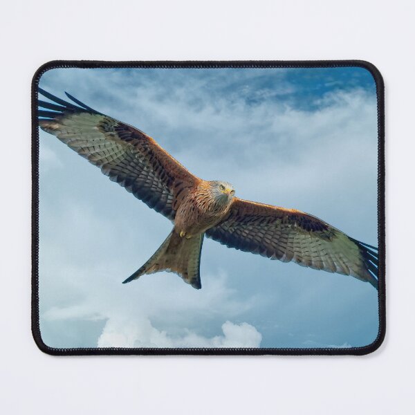 Item preview, Red Kite Bird of Prey designed and sold by Martyn R Arnold Fine Art Nature & Landscape Photography.