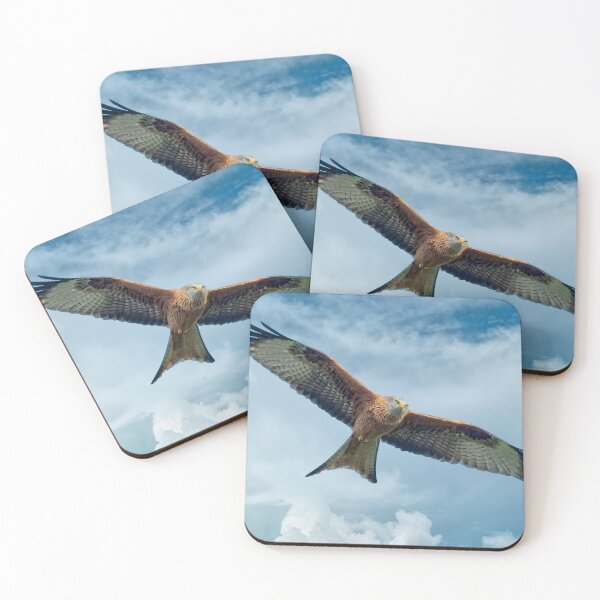 Item preview, Red Kite Bird of Prey designed and sold by Martyn R Arnold Fine Art Nature & Landscape Photography.