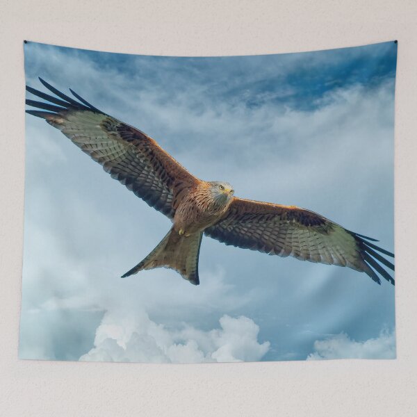 Item preview, Red Kite Bird of Prey designed and sold by Martyn R Arnold Fine Art Nature & Landscape Photography.