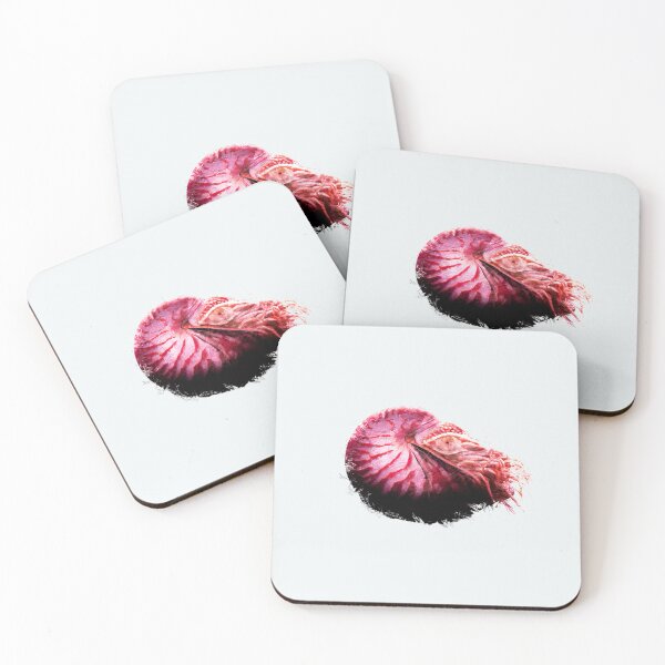 Item preview, Red Nautilus Shell Dark Coastal Print designed and sold by WhiteBreeze.