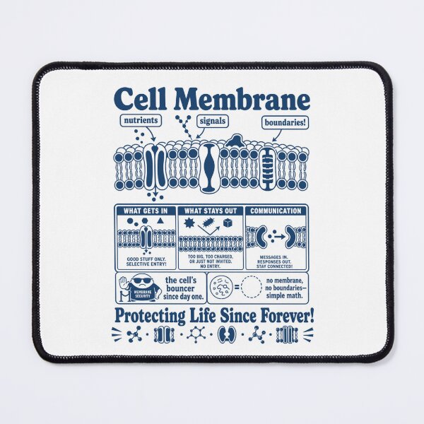 Item preview, Cell Membrane Diagram For Curious Biology Minds designed and sold by FreshVibe Prints.