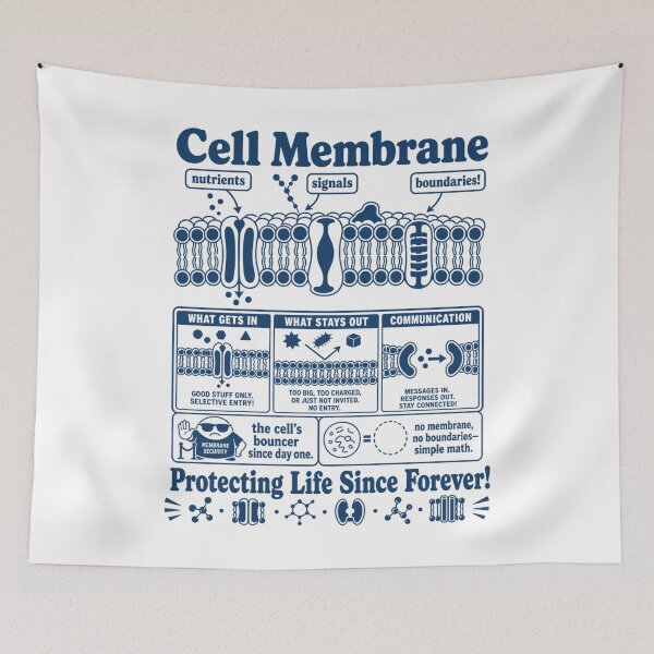Item preview, Cell Membrane Diagram For Curious Biology Minds designed and sold by FreshVibe Prints.