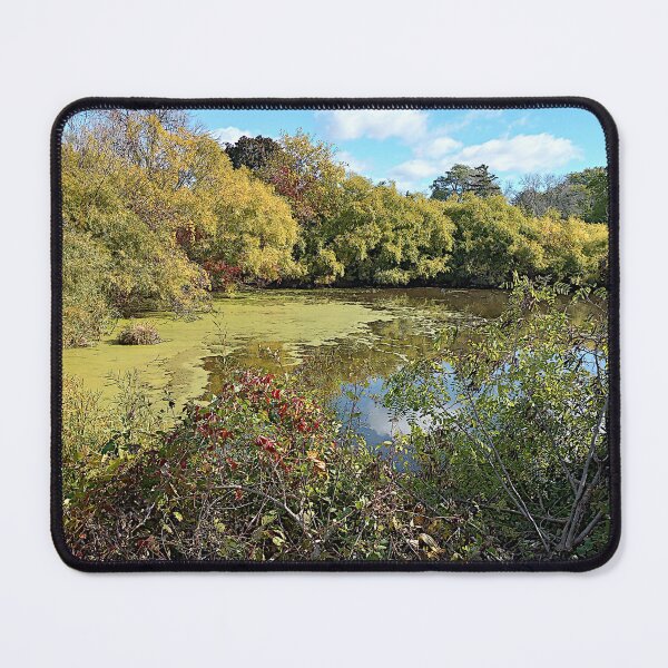 Item preview, The Pond designed and sold by MD BARD STUDIOS.