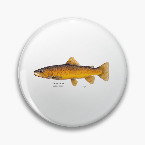 Item preview, Brown Trout Painting designed and sold by Stephen Emms.