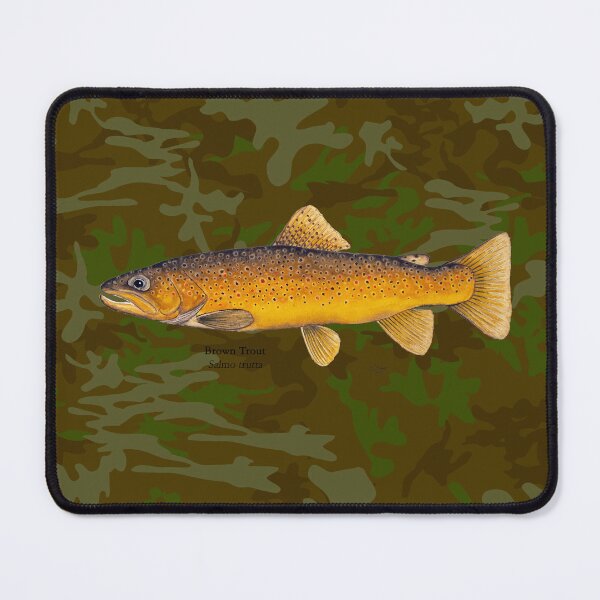 Item preview, Brown Trout Painting designed and sold by Stephen Emms.
