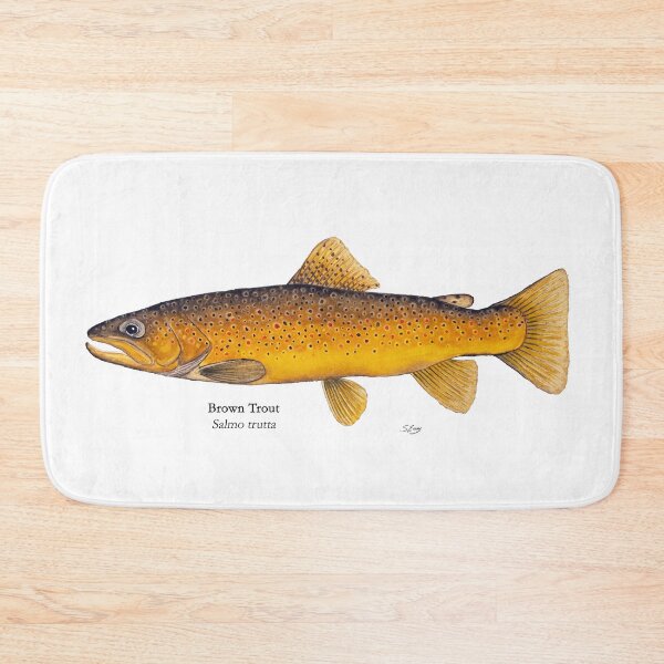 Item preview, Brown Trout Painting designed and sold by Stephen Emms.