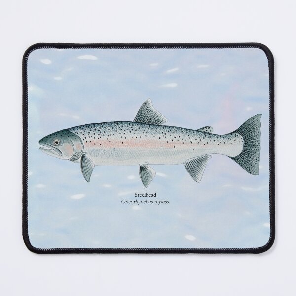 Item preview, Steelhead Trout Painting designed and sold by Stephen Emms.