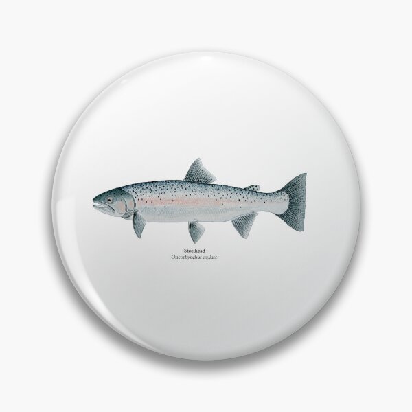 Artikelvorschau, Steelhead-Forellenmalerei entworfen und verkauft von Stephen Emms.