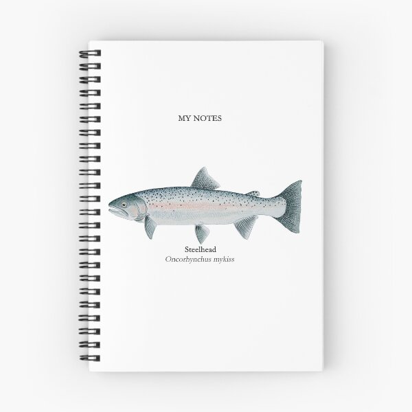 Item preview, Steelhead Trout Painting designed and sold by Stephen Emms.