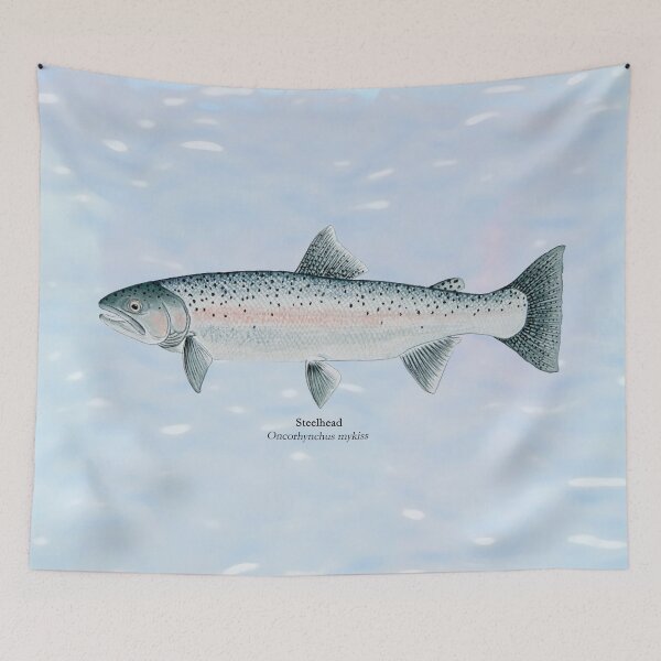 Item preview, Steelhead Trout Painting designed and sold by Stephen Emms.