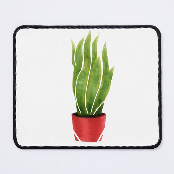 Item preview, Sansevieria designed and sold by Kazewalk.