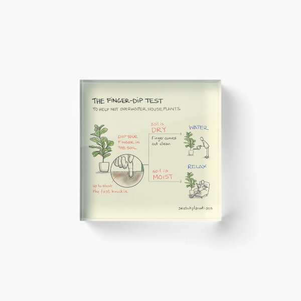 Item preview, The finger-dip test to avoid overwatering house plants designed and sold by Sketchplanations.