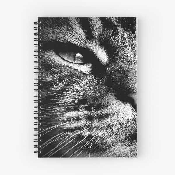 Item preview, maincoon big tiger black and white cat photo. Monochromatic Life is good, a cat makes it better. designed and sold by Jonnekesart.