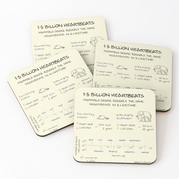 Item preview, 1.5 Billion heartbeats in a lifetime designed and sold by Sketchplanations.