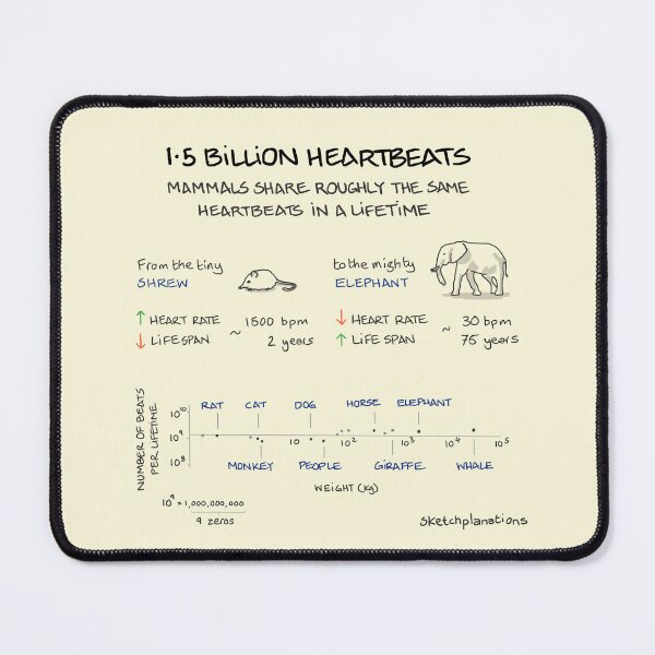 Item preview, 1.5 Billion heartbeats in a lifetime designed and sold by Sketchplanations.