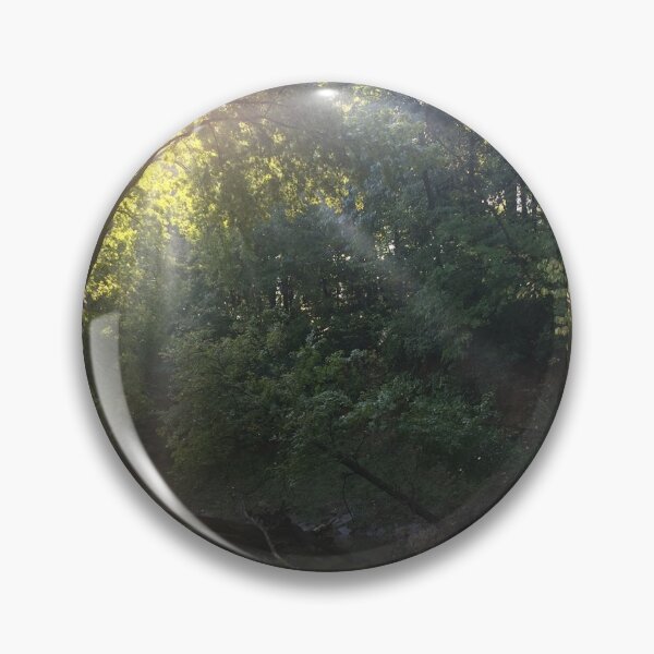 Item preview, sunrays through forest, REAL photograph designed and sold by GiSilver.