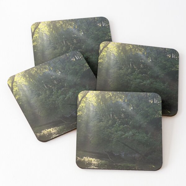 Item preview, sunrays through forest, REAL photograph designed and sold by GiSilver.
