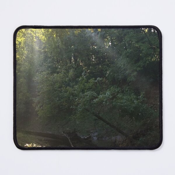Item preview, sunrays through forest, REAL photograph designed and sold by GiSilver.