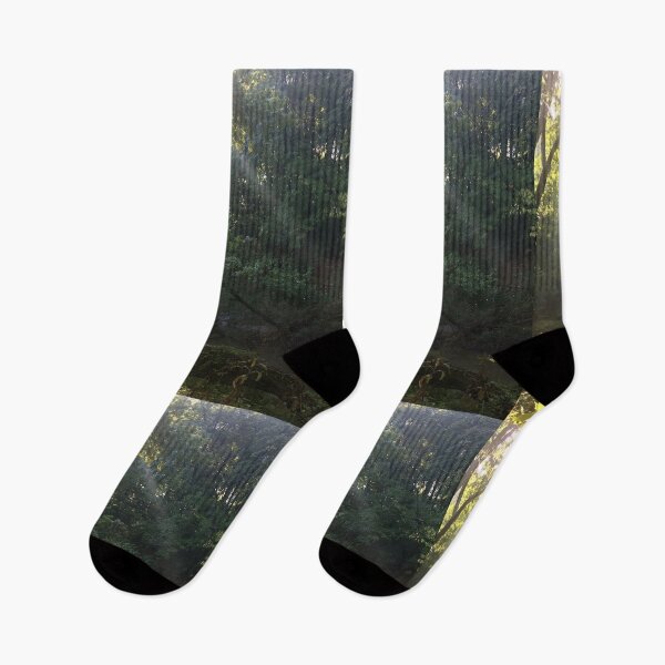 Item preview, sunrays through forest, REAL photograph designed and sold by GiSilver.
