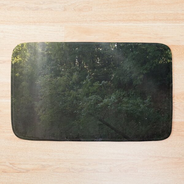 Item preview, sunrays through forest, REAL photograph designed and sold by GiSilver.