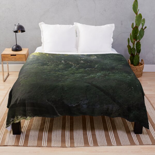 Item preview, sunrays through forest, REAL photograph designed and sold by GiSilver.