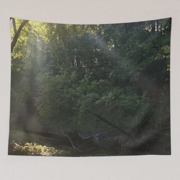 Item preview, sunrays through forest, REAL photograph designed and sold by GiSilver.