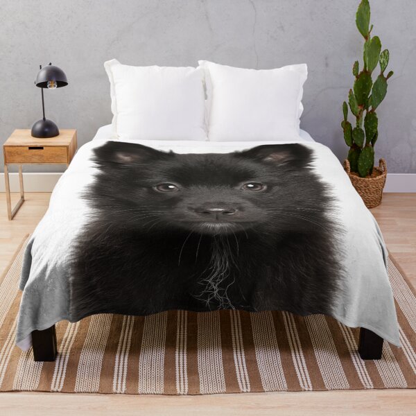 Item preview, Adorable Schipperke puppy for Cute Spits puppy lovers designed and sold by LazyOwlStore.