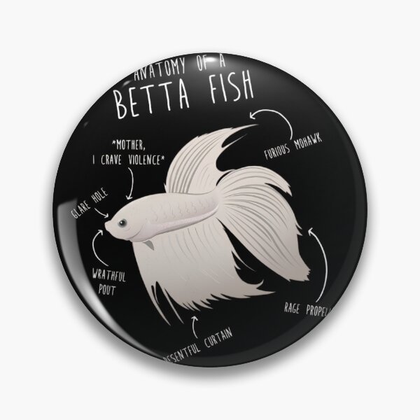 Item preview, Funny Anatomy of a Betta Fish - Angry Siamese Fighting Fish Humor designed and sold by haitrieuic96.
