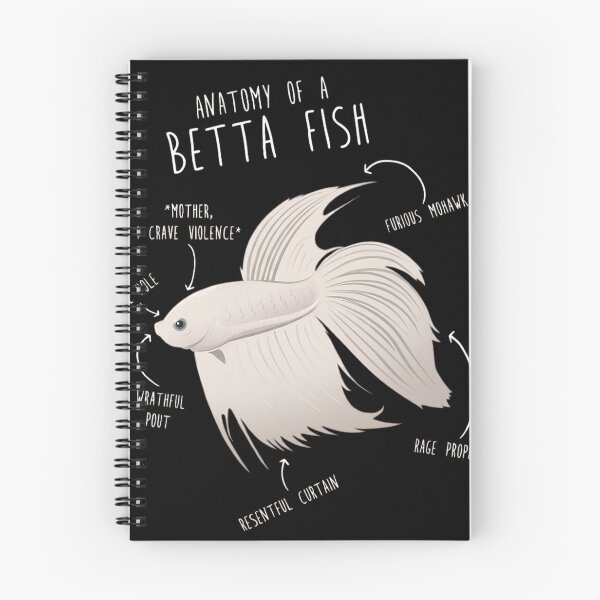 Item preview, Funny Anatomy of a Betta Fish - Angry Siamese Fighting Fish Humor designed and sold by haitrieuic96.